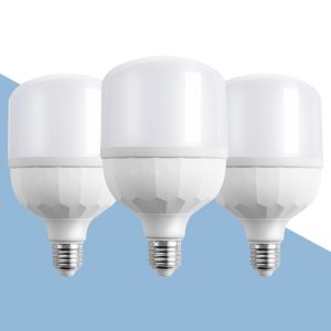YL-ZS T Led Bulbs 5w 10w 15w 20w 30w 40w 50w 60w 80w