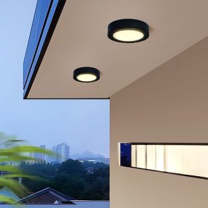 YL-6816 Round Outdoor Ceiling Light for Balcony lighting