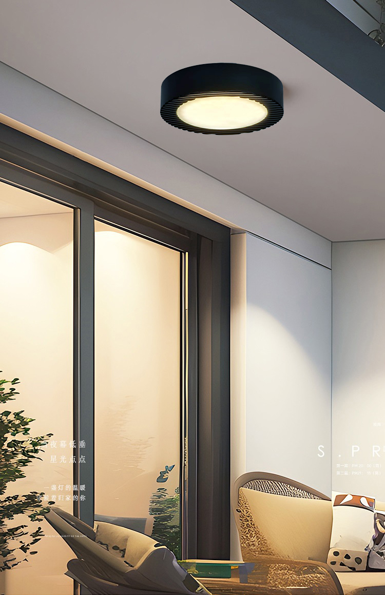 YL-6816 Round Outdoor Ceiling Light for Balcony lighting