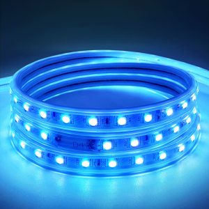 Outdoor IP65 Flexible 5050 Smart RGB Led Strip Lights with Controller and Remote Control