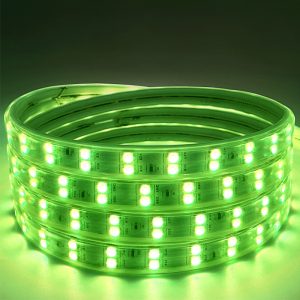 Outdoor IP65 Waterproof 110V 220V Flexible Double Row RGB Led Strips with Remote Control