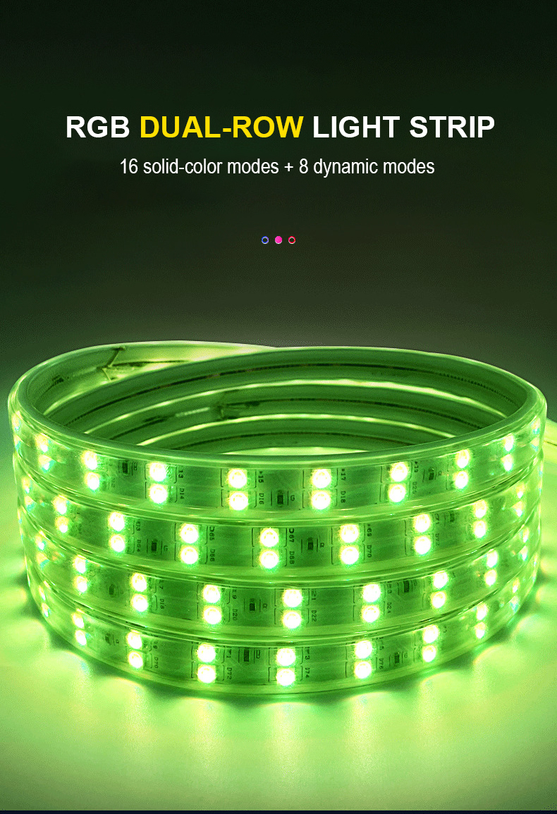 Outdoor IP65 Waterproof 110V 220V Flexible Double Row RGB Led Strips with Remote Control