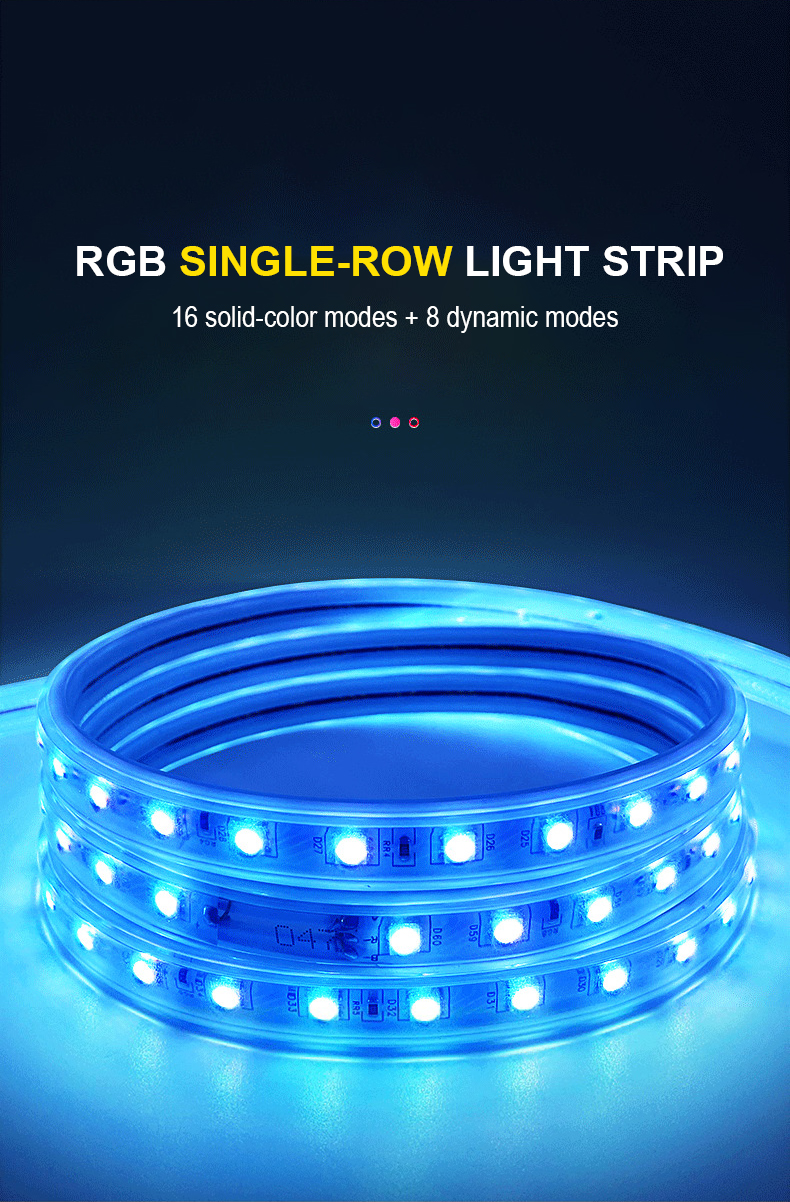 Outdoor IP65 Flexible 5050 Smart RGB Led Strip Lights with Controller and Remote Control