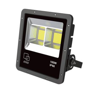 YL601-100W Flood Light for Graden and Yard Lighting