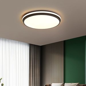 Ultra Thin Ceiling Light 3CCT for Living Room and Bedroom
