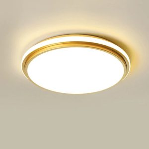 Living Room Ceiling Light